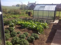 /album/cherrytree-allotment/my-photos009-jpg/